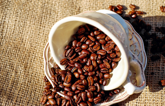 Best Coffee in Chikmagalur: Where India’s Finest Beans Are Born