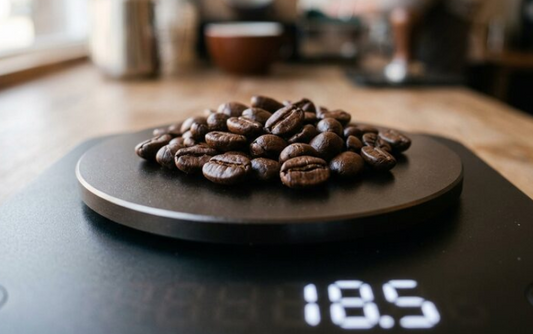 How Much Should You Pay for Good Quality Coffee Beans in India?