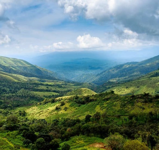 The Legend of Chikkamagaluru