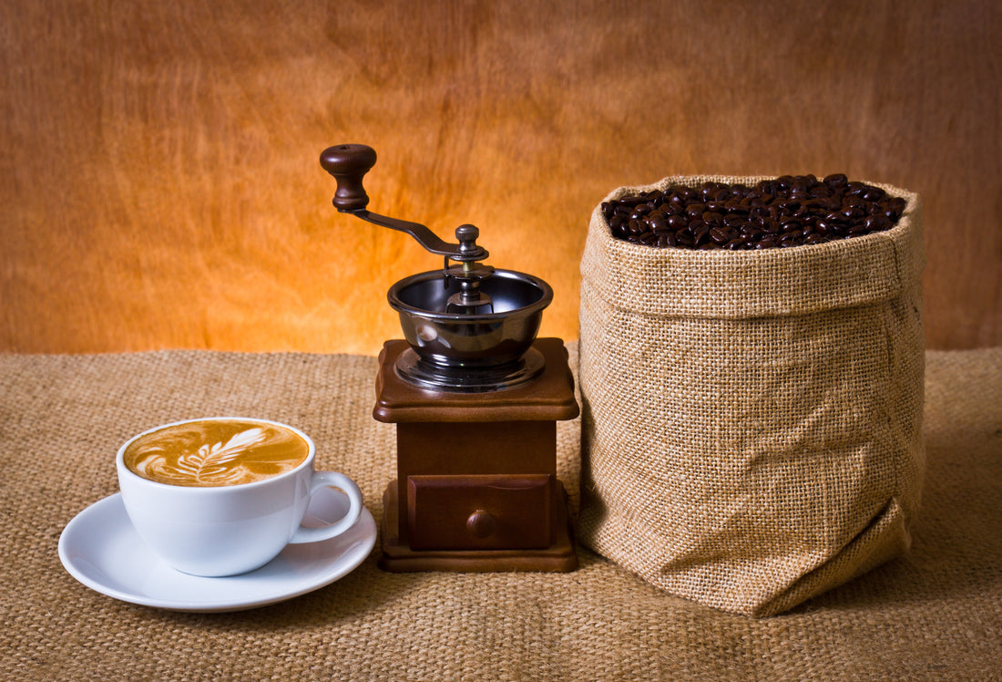 Roasted Coffee Beans for Those Who Truly Love Coffee