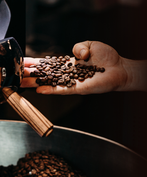 Elevate Your Morning Coffee Ritual with Love, Kaapi’s Selection of Coffee Beans