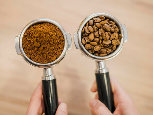 Mysuru Kaapi vs Regular Filter Coffee: The Unique Role of Mysore Nuggets Coffee